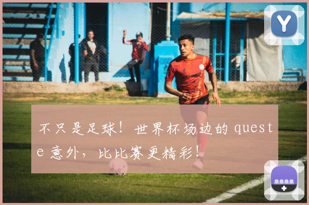 不只是足球!世界杯场边的 queste 意外,比比赛更精彩!